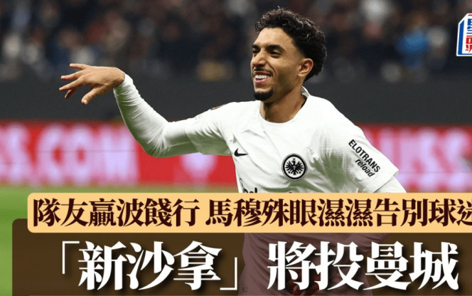 入了阿莱