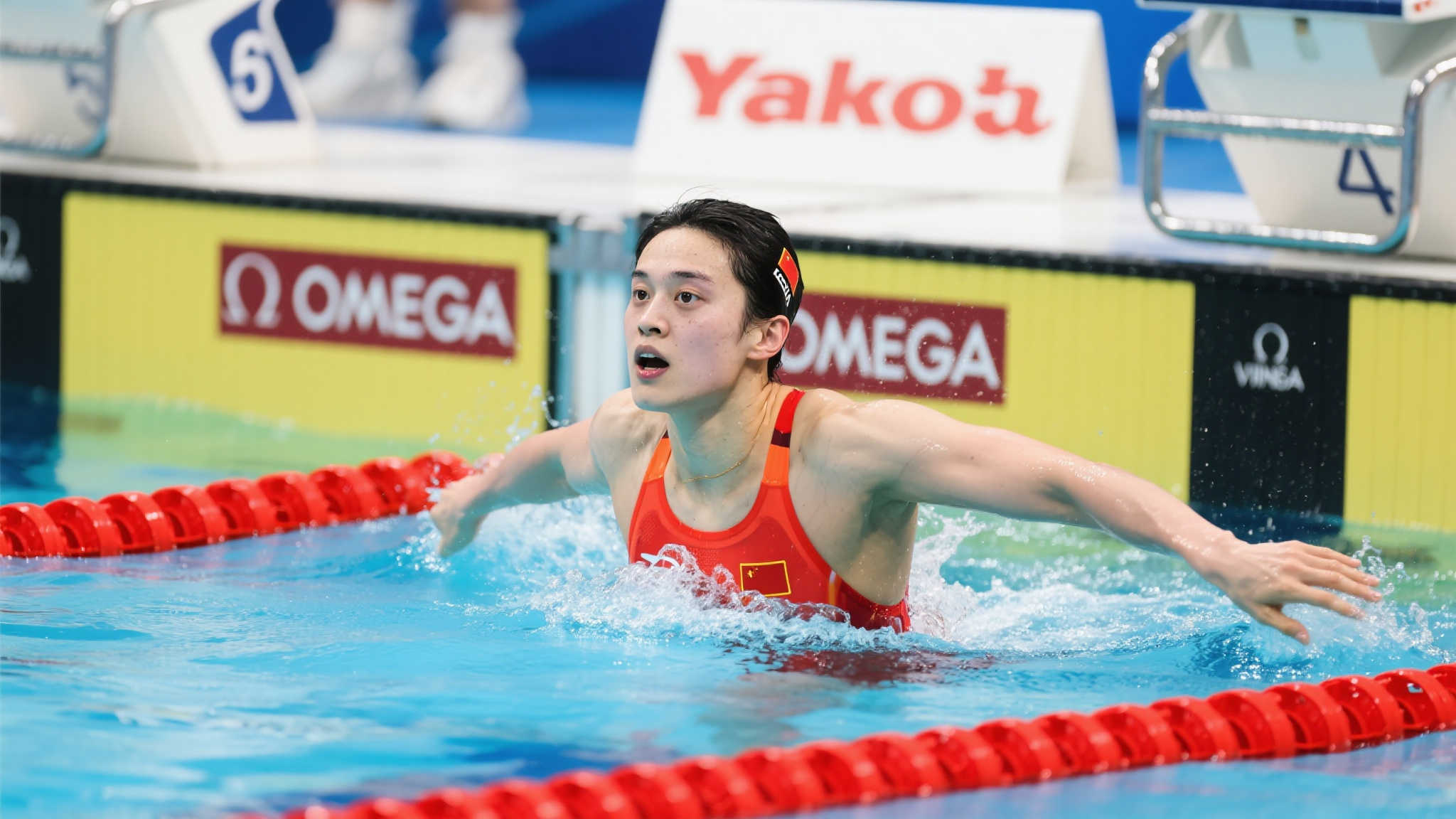 围内建立了 围内建立了