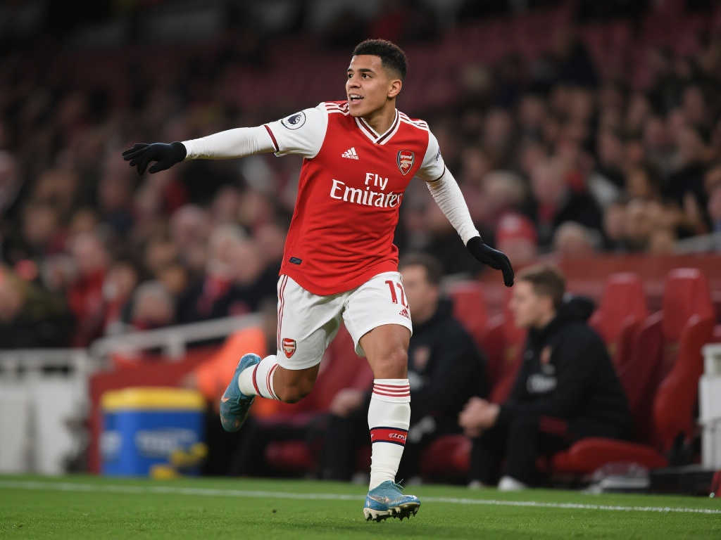 员保利尼奥 员保利尼奥