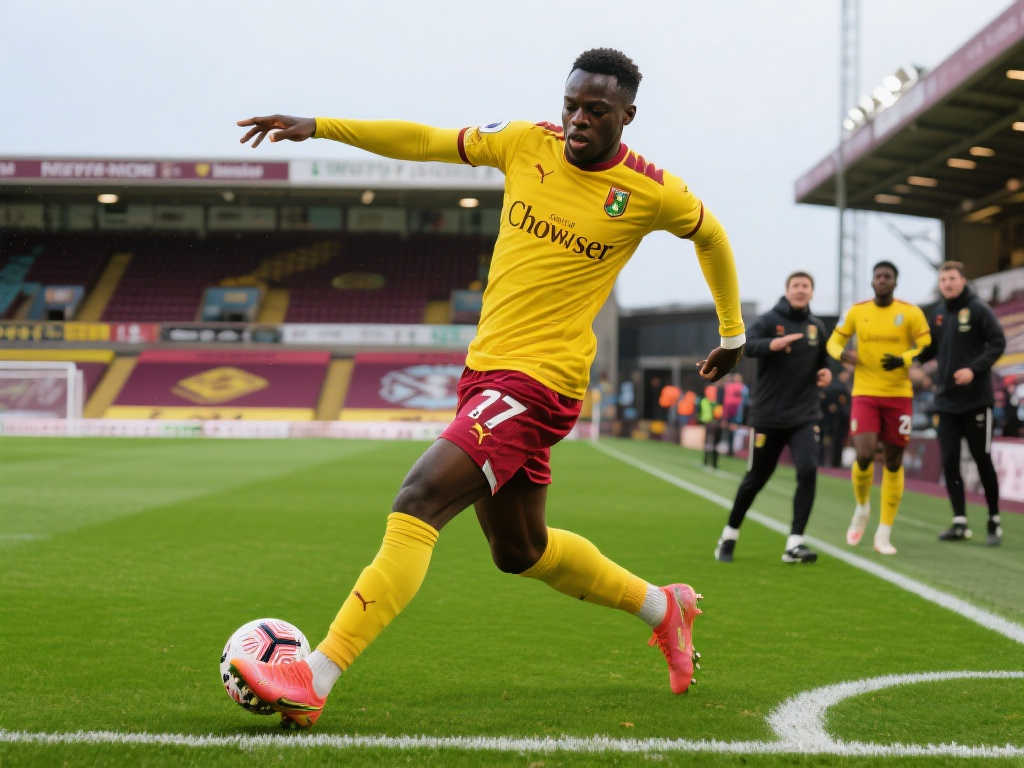 贝林厄姆的 贝林厄姆的