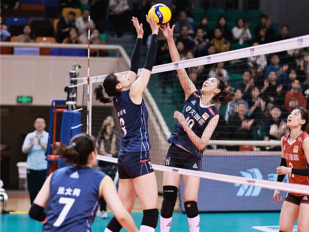 字号球队中 字号球队中