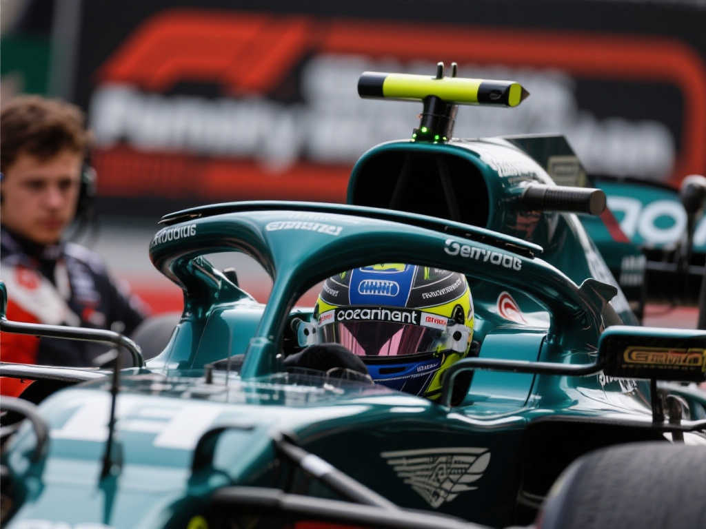 同时有机会 同时有机会